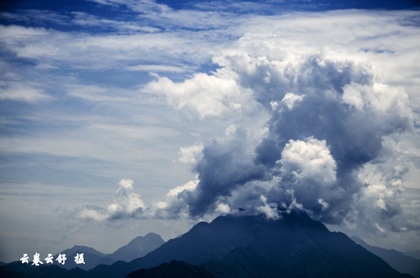 DSC_0824_conew1.jpg