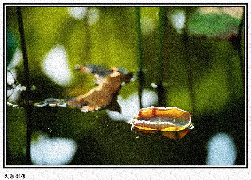 DSC_5862_dh_conew1.jpg