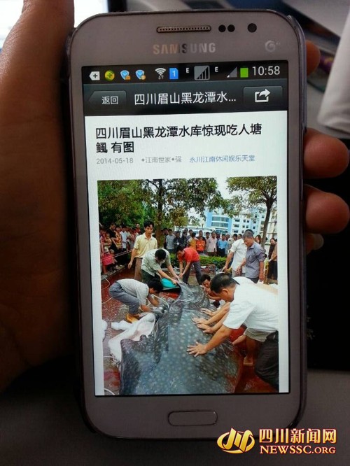 眉山"黑龙滩吃人鱼"真相调查-仁寿论坛-麻辣社区 四川第一网络社区 你