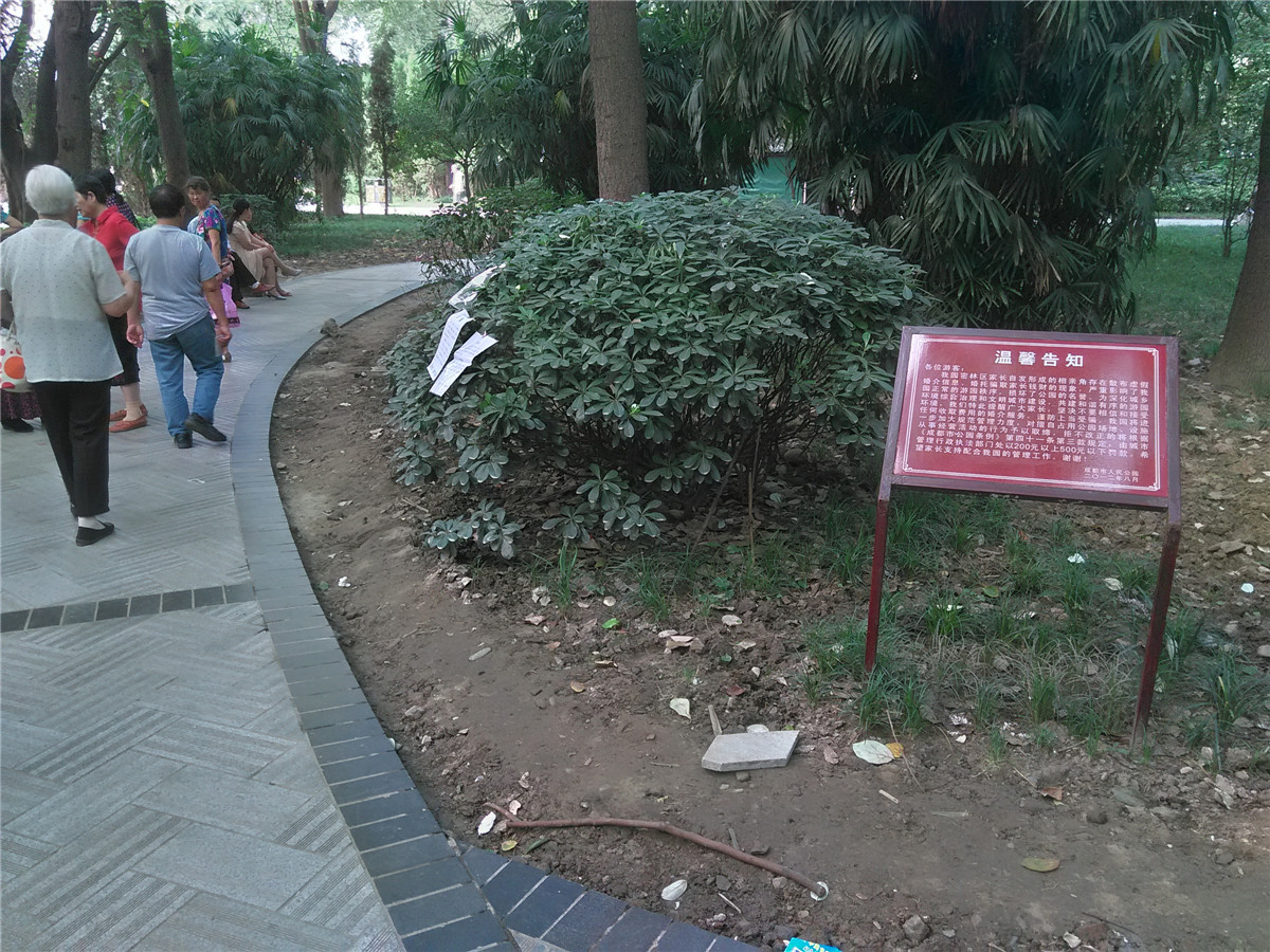 03IMG_20140716_171940.jpg