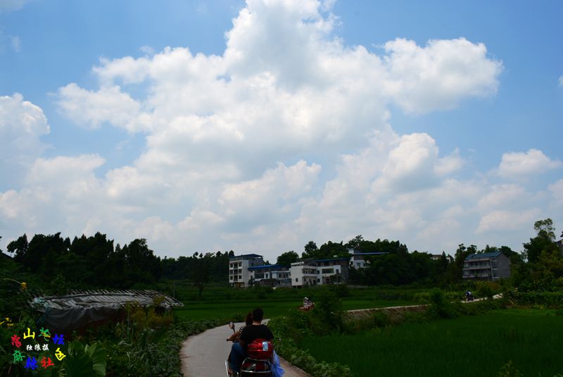 DSC_0028.JPG