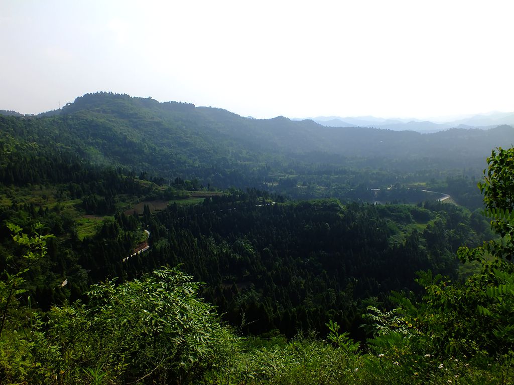 DSCF0303_.jpg