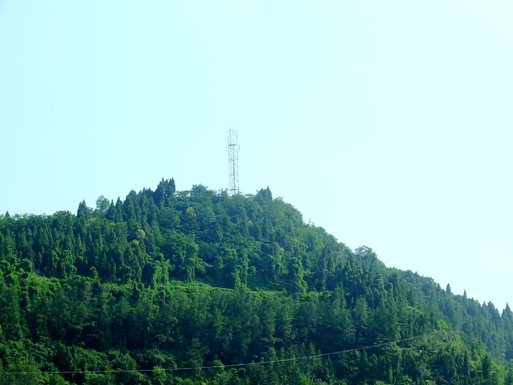DSCF0305_.jpg