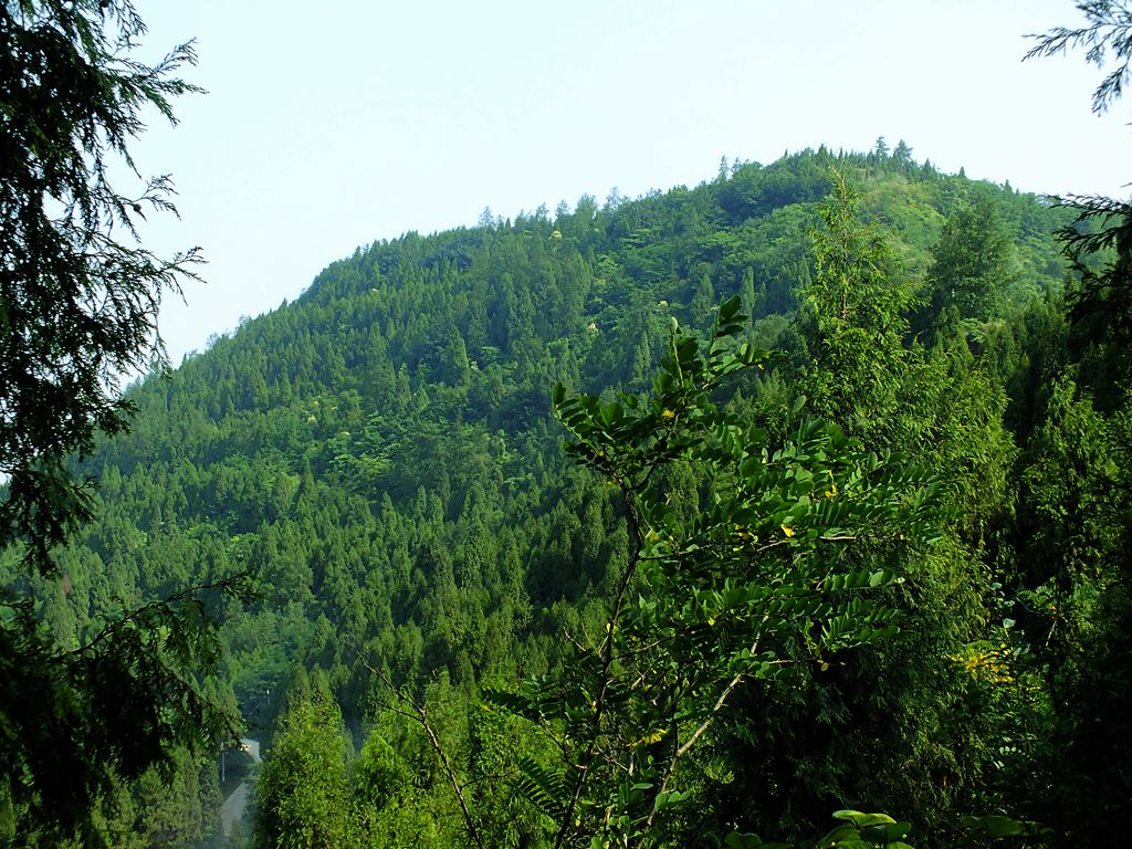 DSCF0310_.jpg