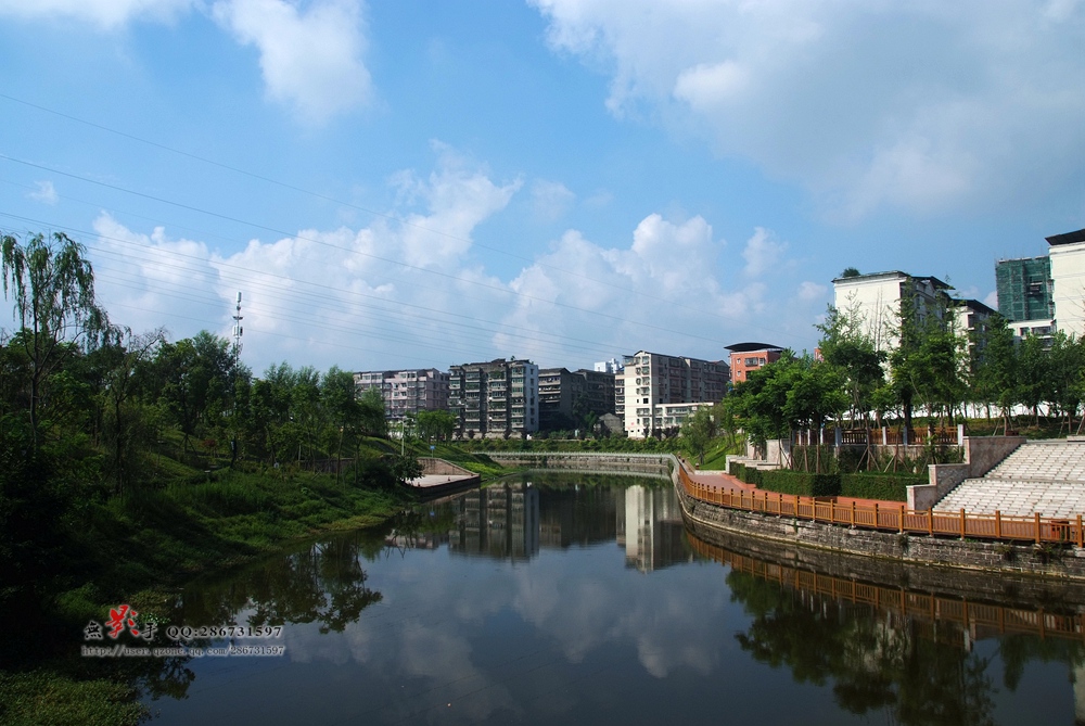 DSCF0442.jpg