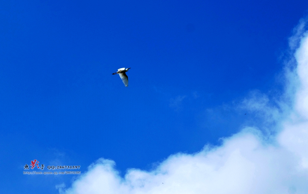 DSCF0492.jpg