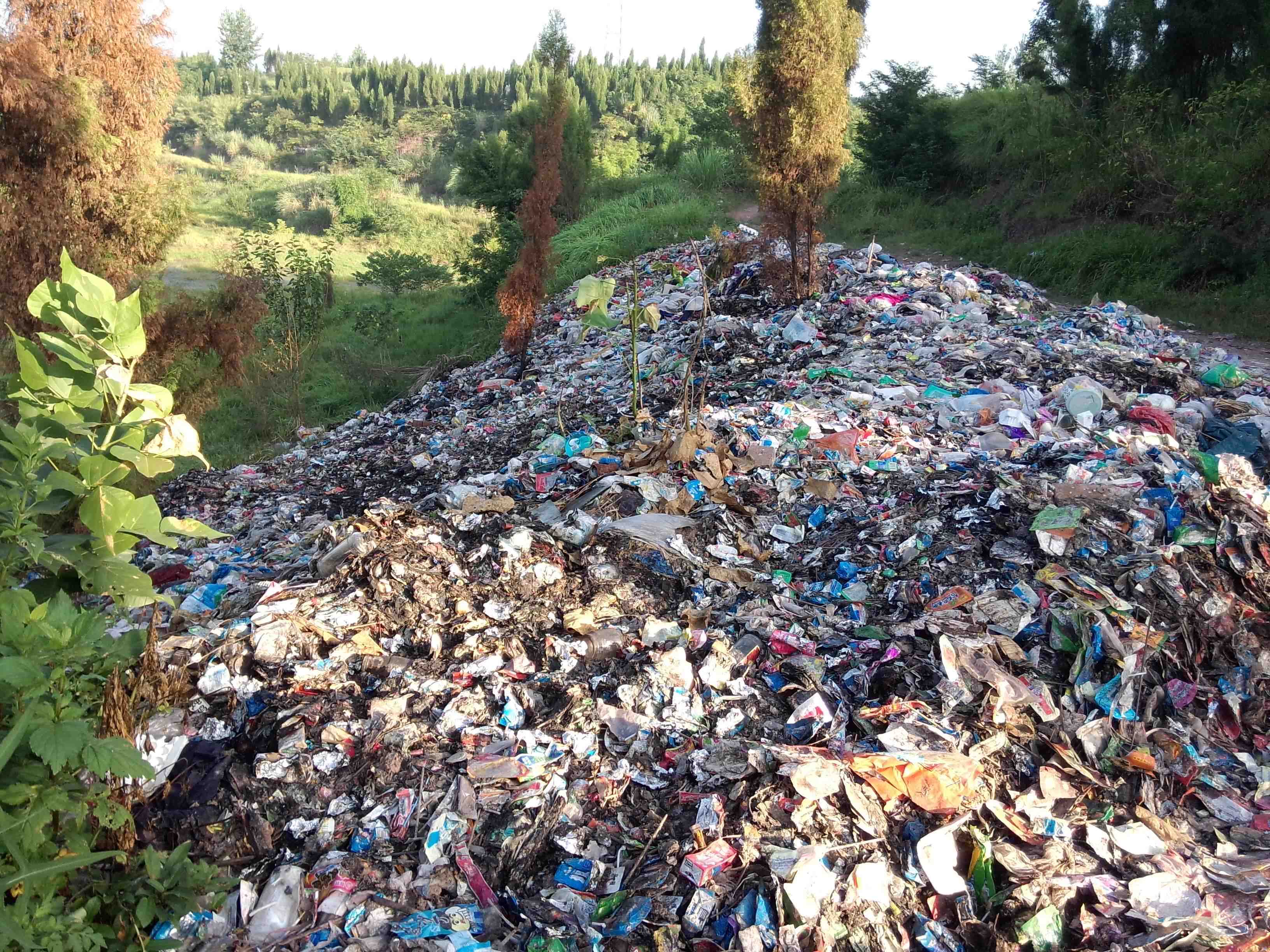 强烈谴责小井乡破坏环境野蛮处理垃圾,望前锋区环保局好好调查下