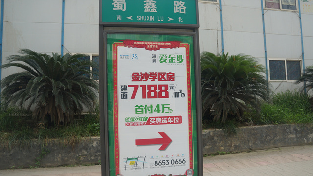 DSC05548.jpg