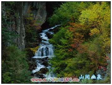 xin_02304051516184681759035.jpg