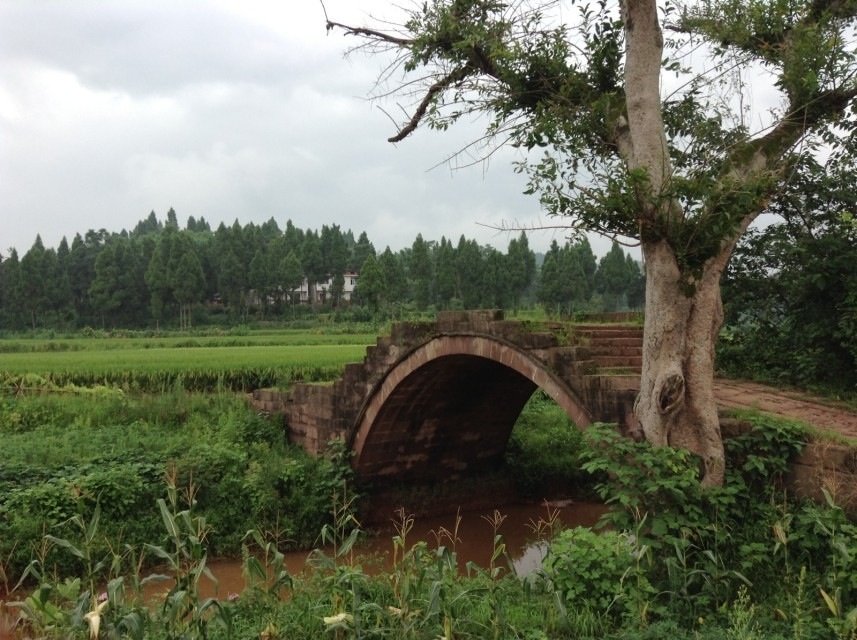 四川杨家镇图片