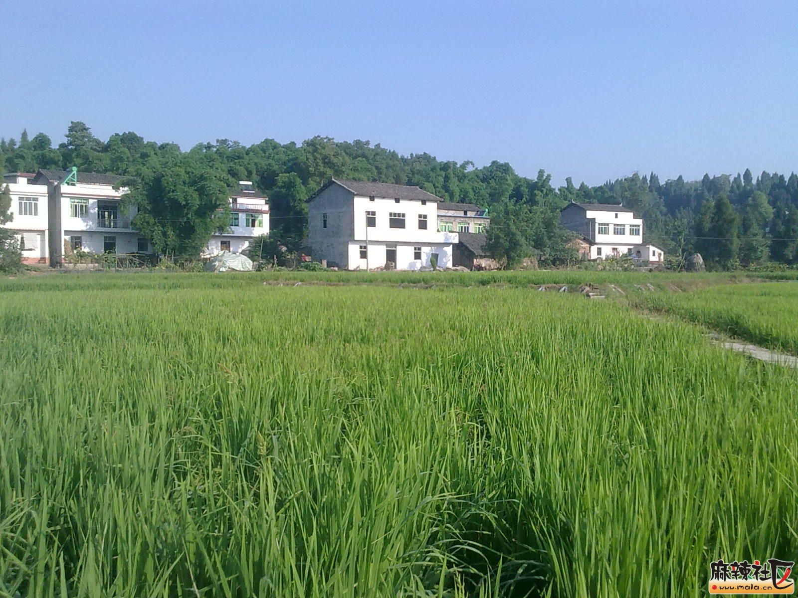 Ƭ 016.jpg