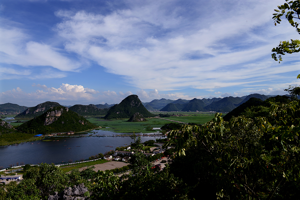 DSC_9017.jpg
