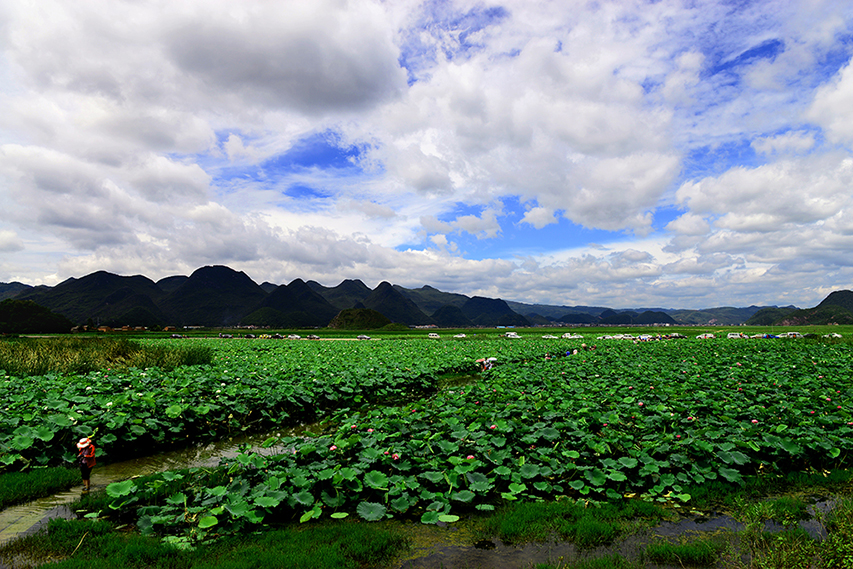 DSC_9143.JPG