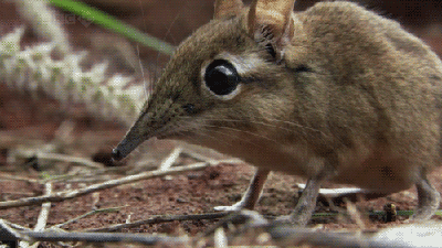 20120619130414_yFezZ.gif