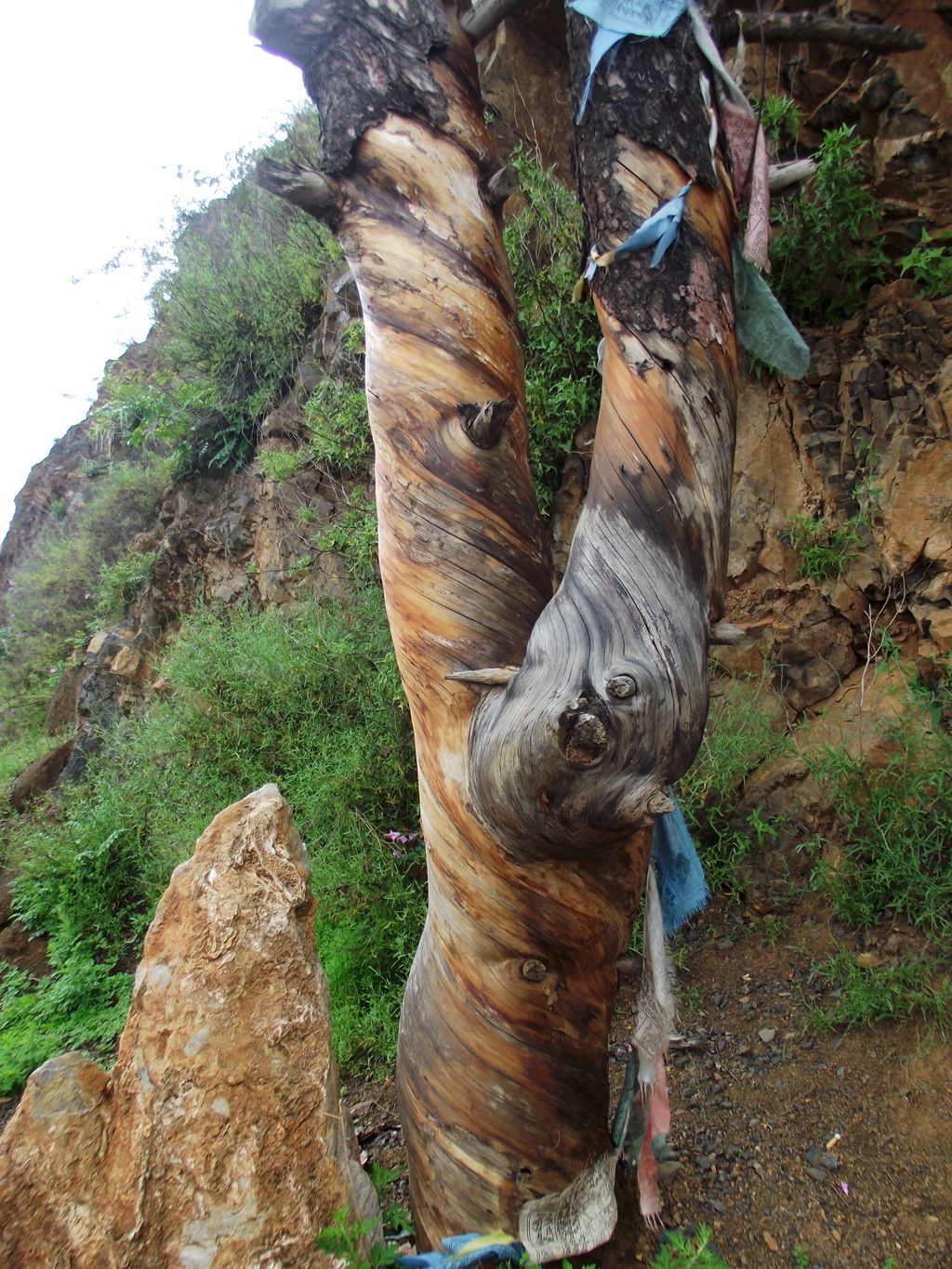 DSCF0086.JPG