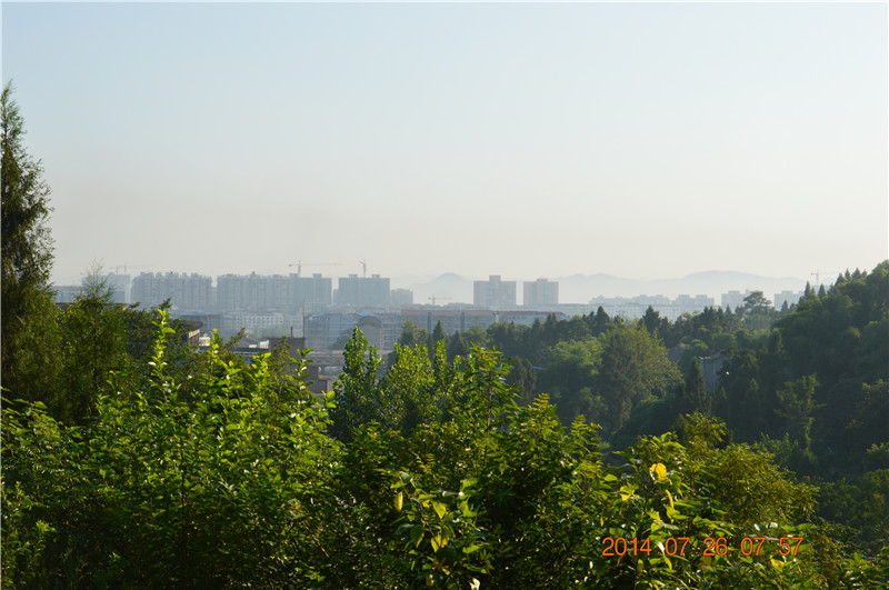 DSC_0293.jpg