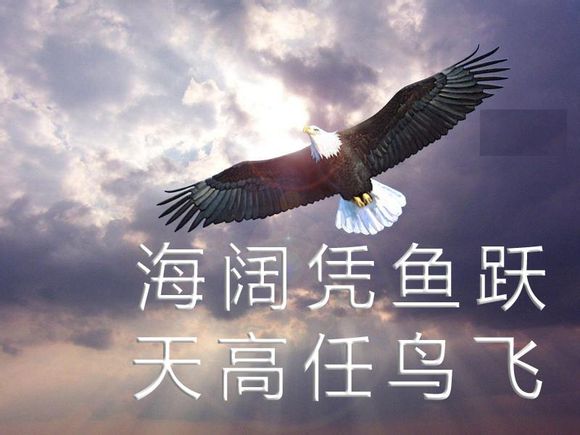 56fefa44ebf81a4c4ee68c58d52a6059272da69c.jpg