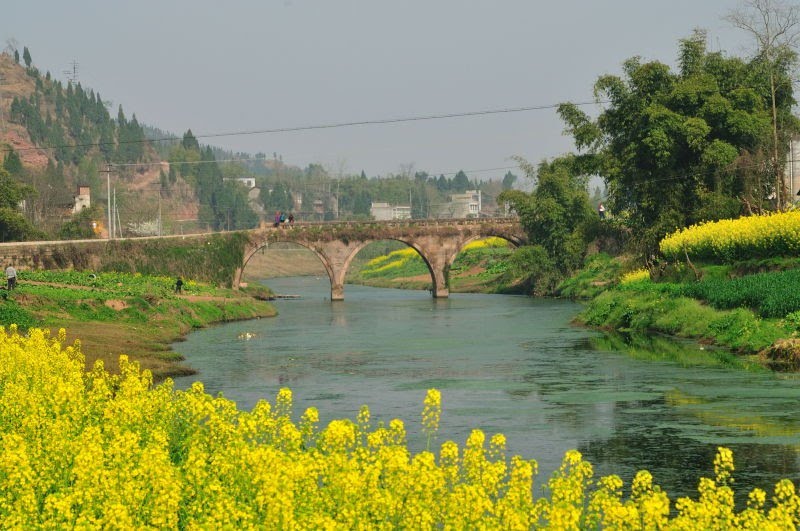 最美乡村莲池镇 新街新貌新气象——张澜故里西充县莲池镇今日印象(二