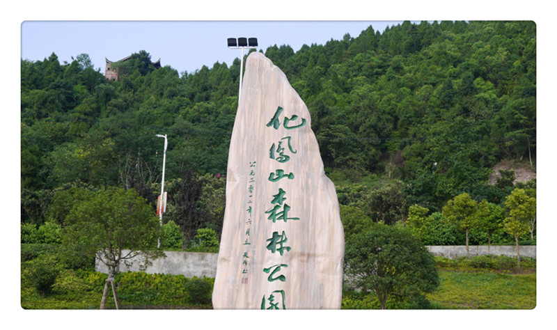西充县化凤山公园图片