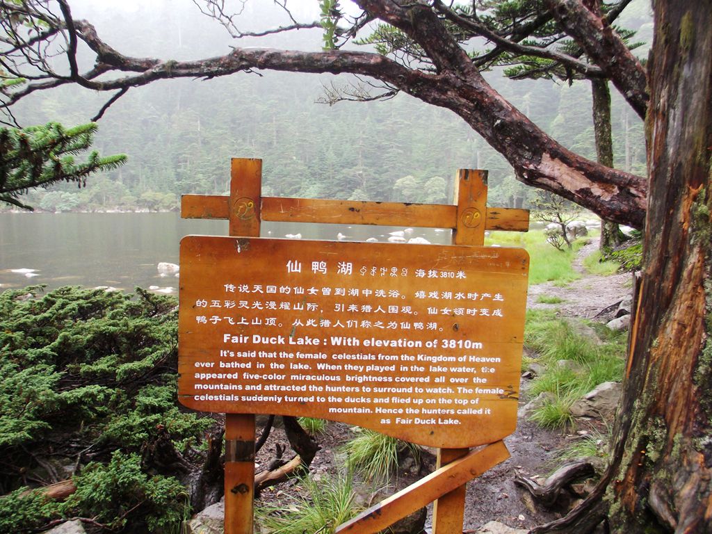 DSCF0157.JPG