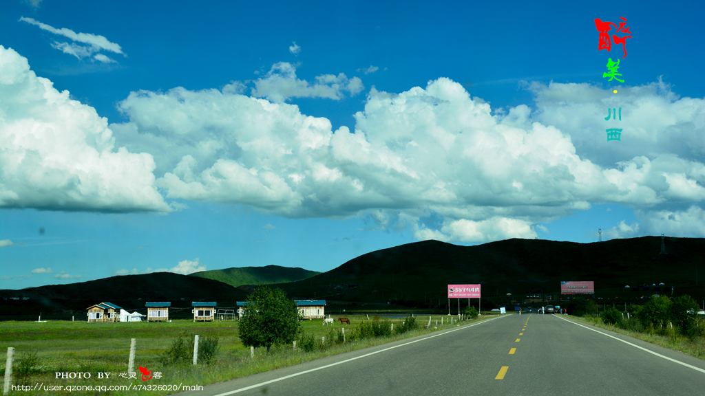 DSC_7650.jpg