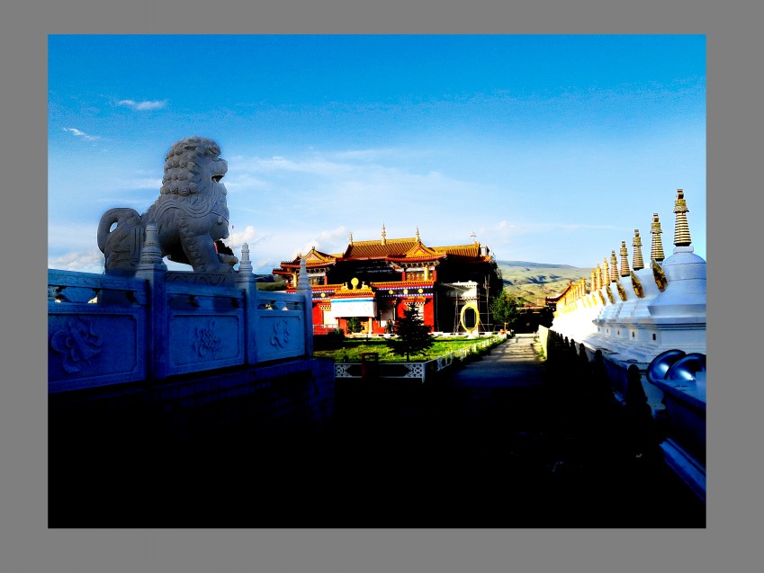 Ƭ 037_conew1.jpg