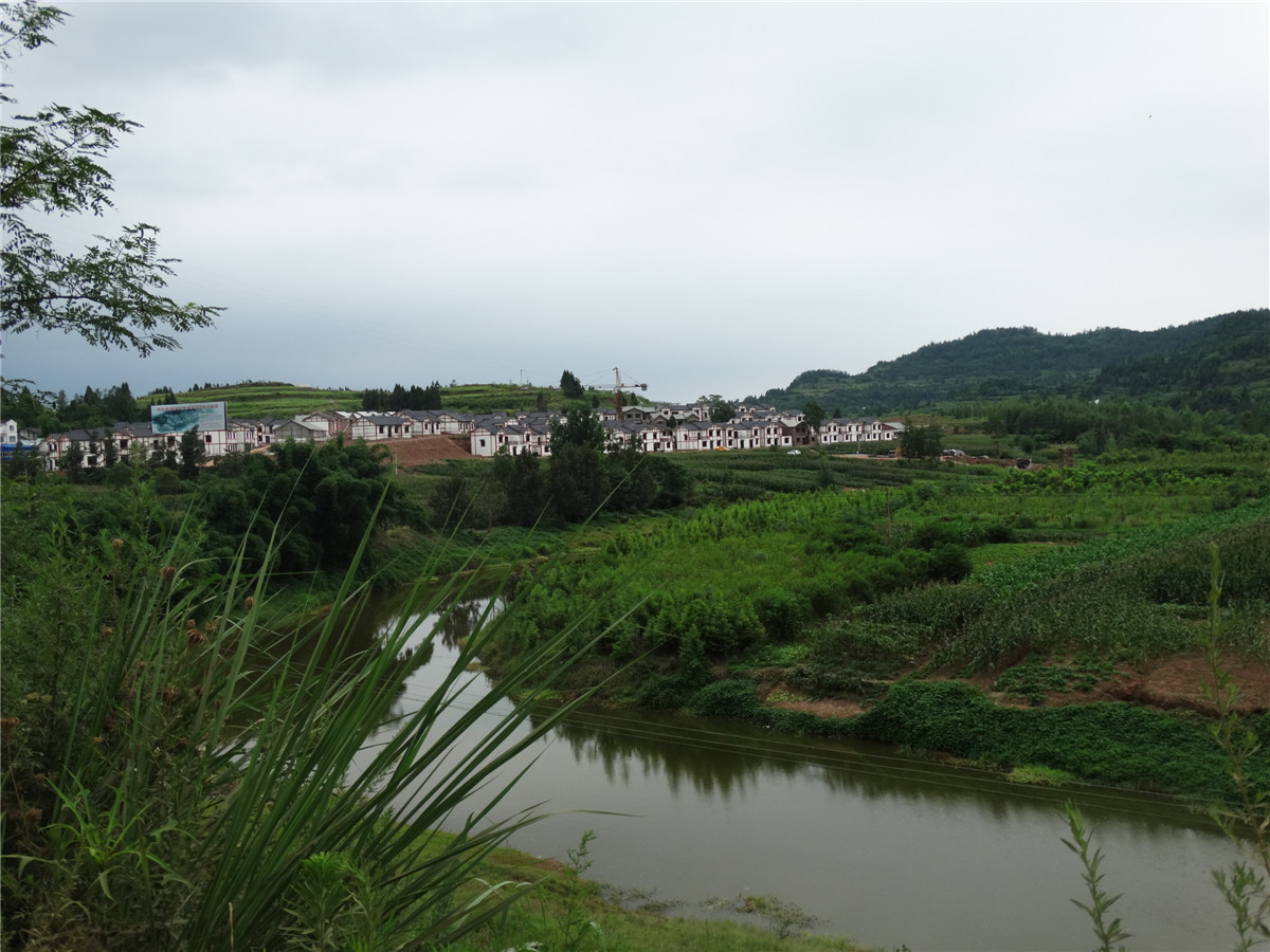 组图简介:西充县莲池镇新农村建设示范工程"灵宝宫综合体"