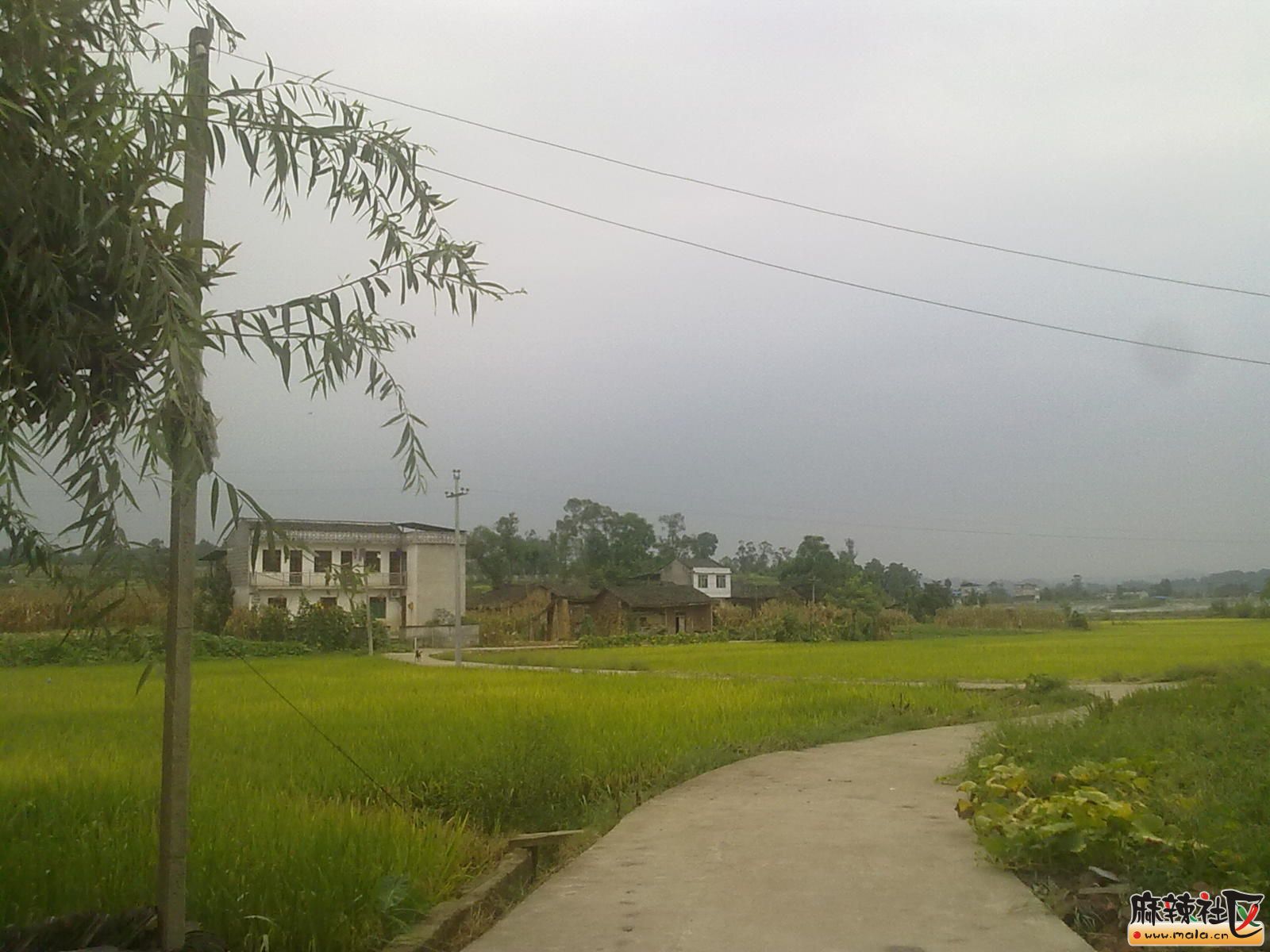 Ƭ 040.jpg