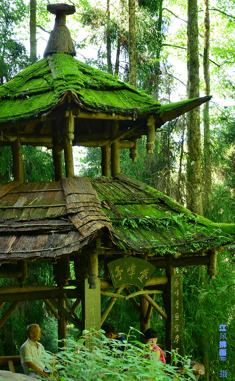 DSC_0019_dh_.jpg