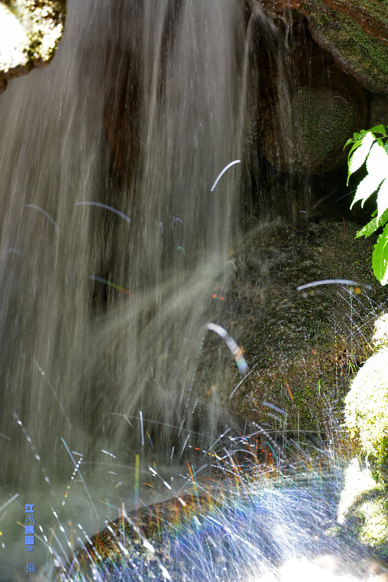 DSC_0096_dh_.jpg