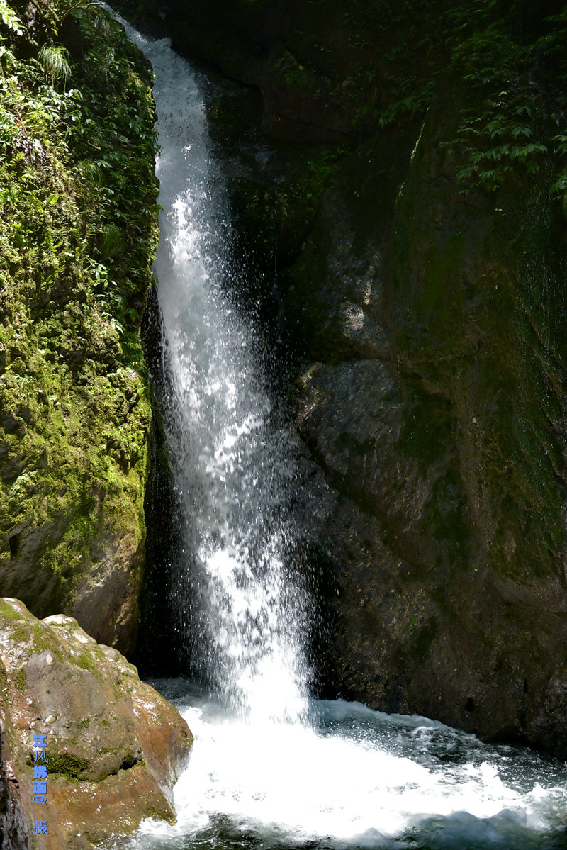 DSC_0215_dh_.jpg