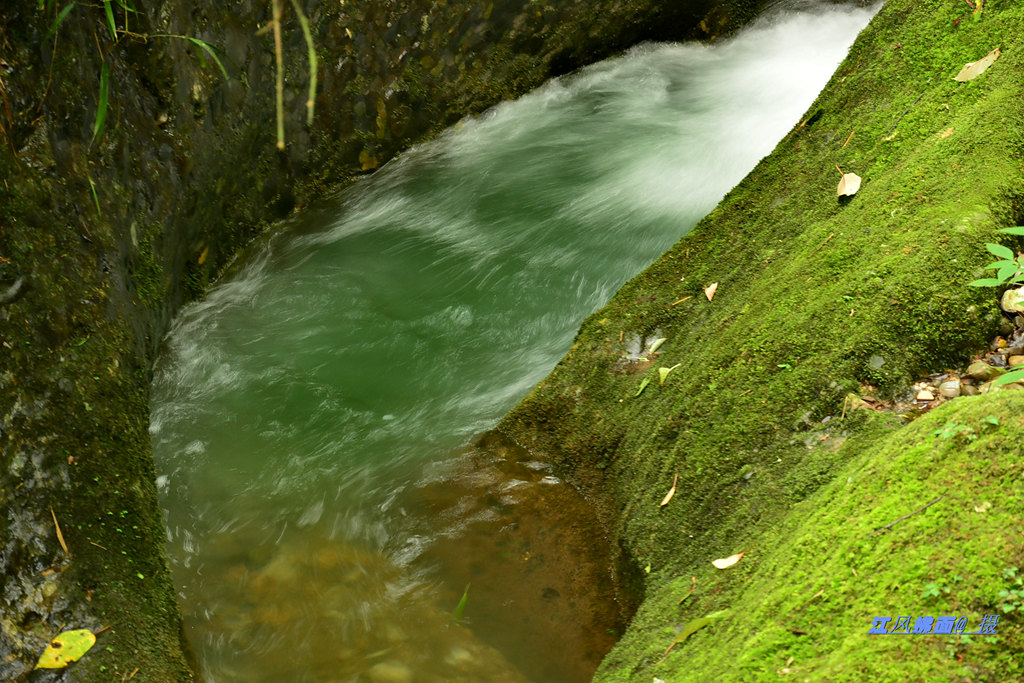 DSC_0377_dh_.jpg