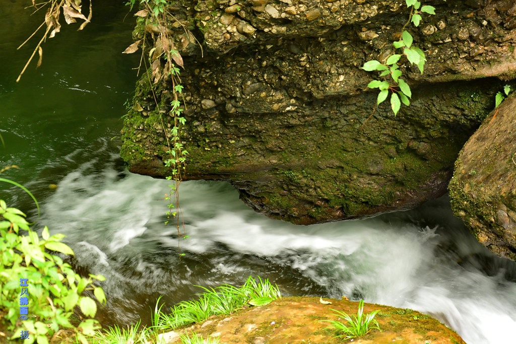 DSC_0432_dh_.jpg