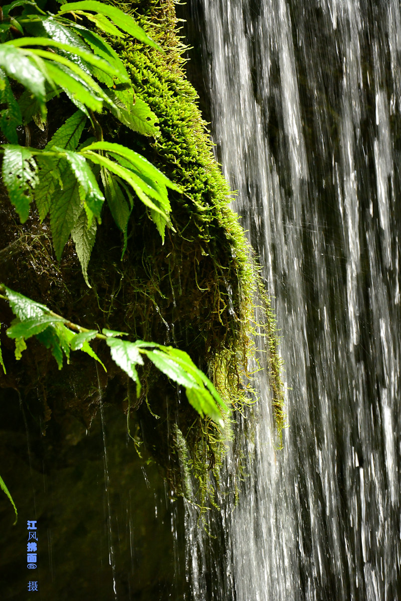 DSC_0457_dh_.jpg