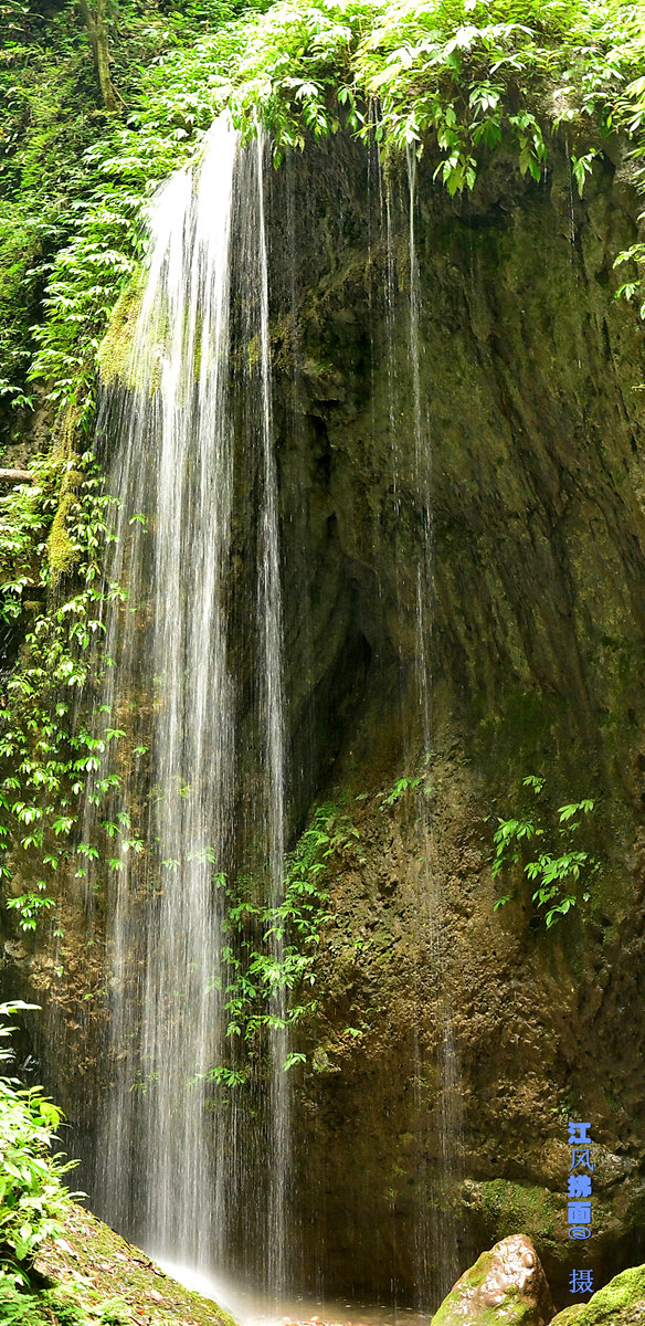 DSC_0461_dh_.jpg