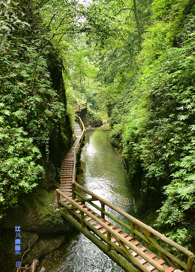 DSC_0466_dh_.jpg