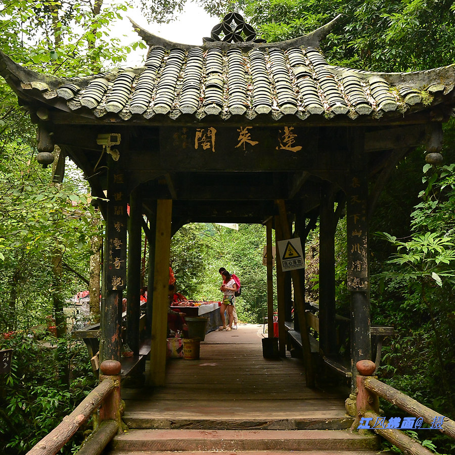 DSC_0476_dh_.jpg