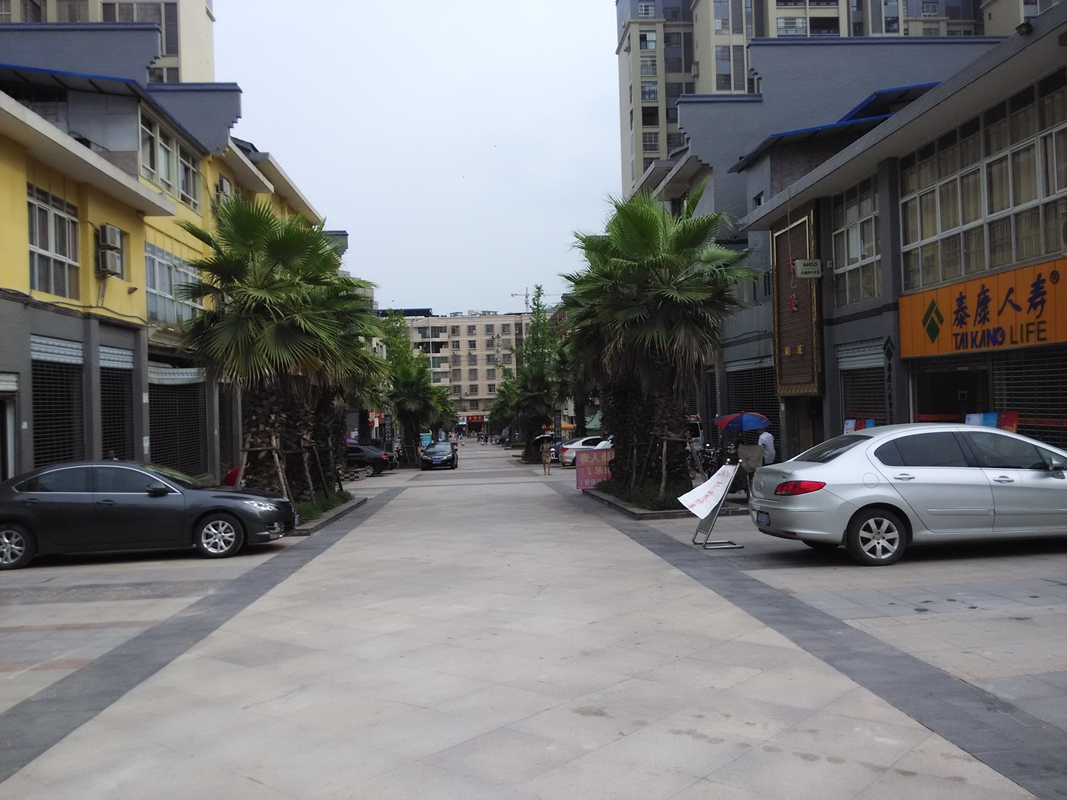 Ƭ 017.jpg