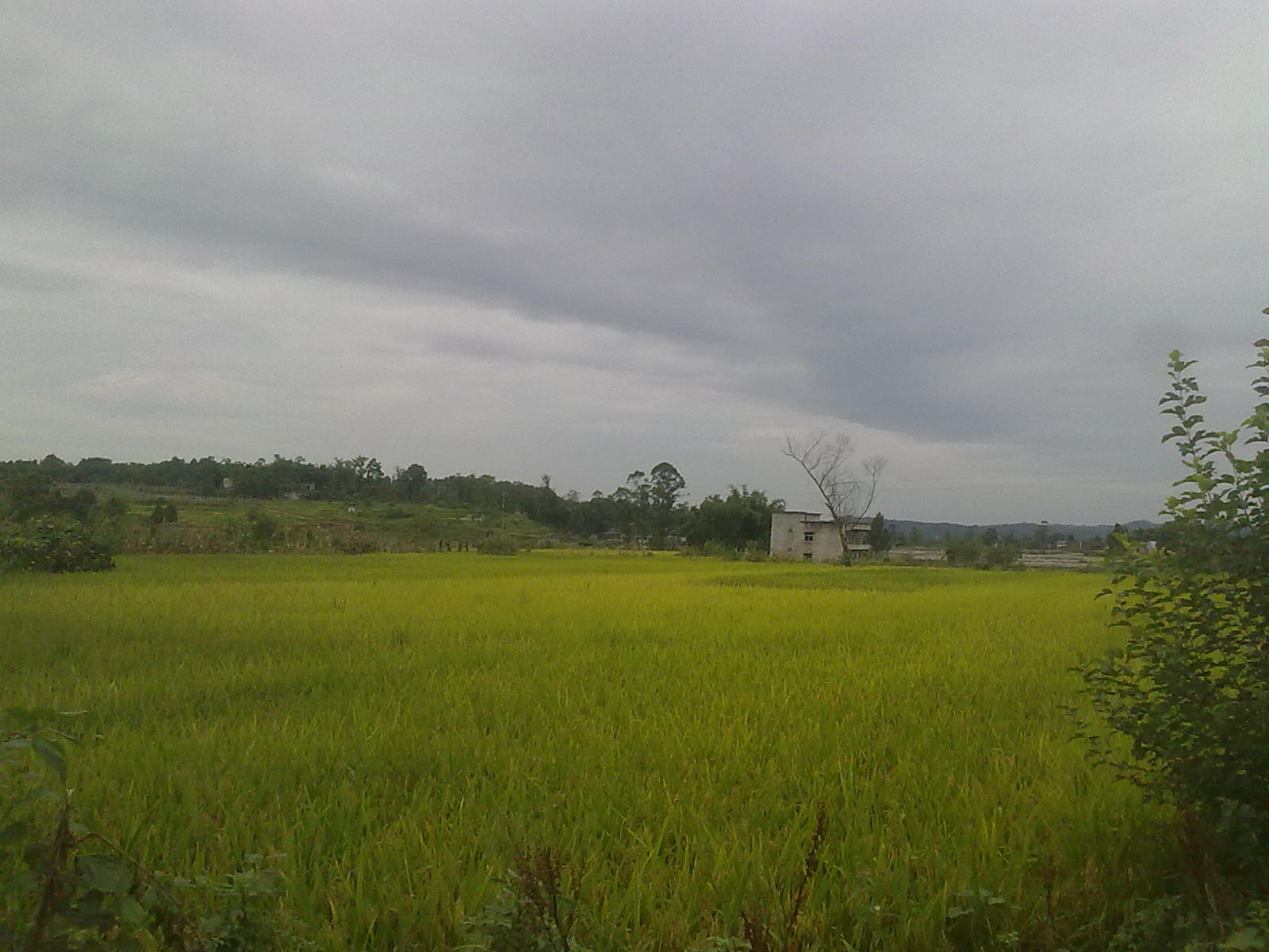 Ƭ 003.jpg