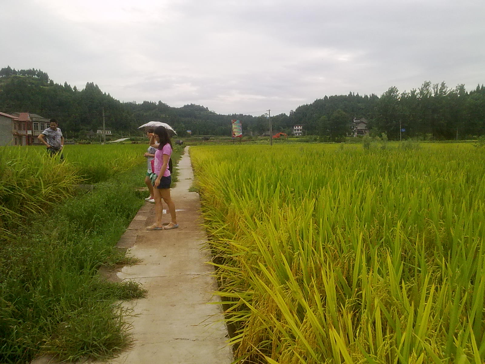 Ƭ 012.jpg