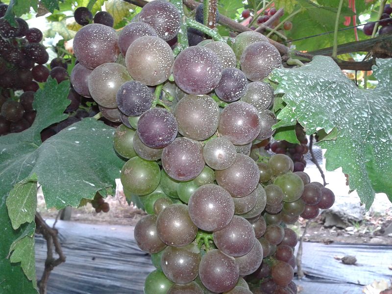 20140812_091157.jpg