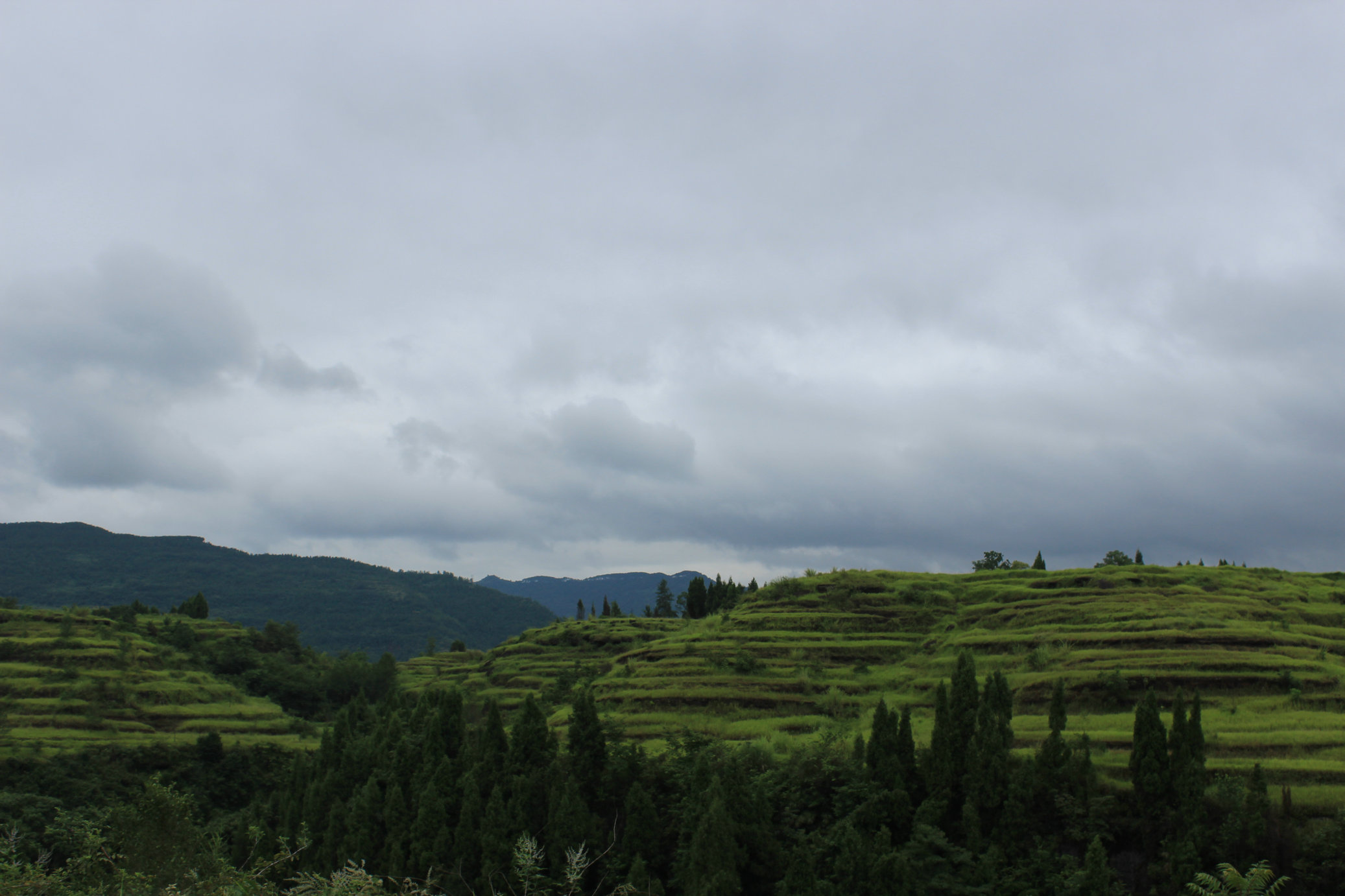IMG_9940.JPG