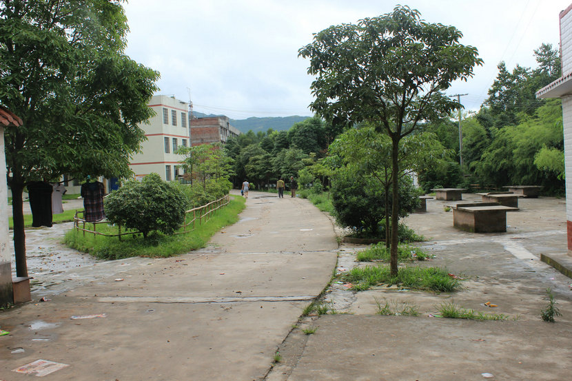 IMG_9924.JPG