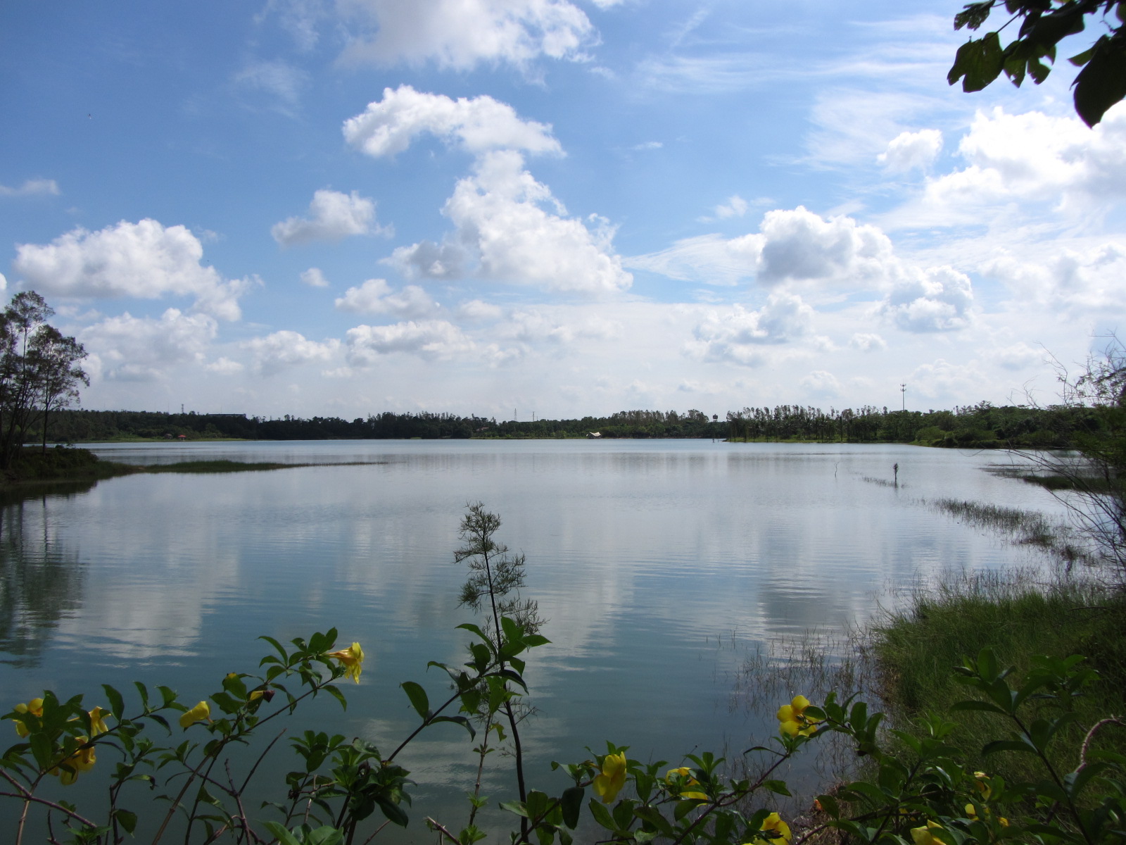 【影像蓬安】美丽的大深南海欢迎您