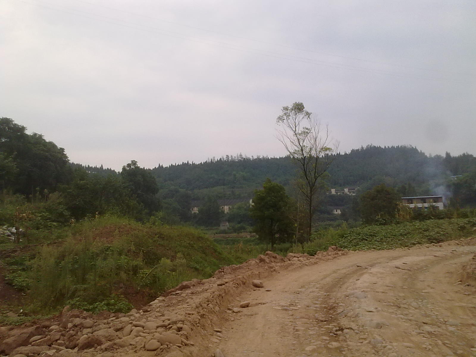 Ƭ 028.jpg