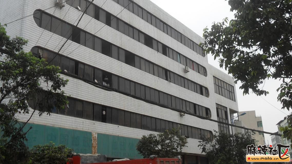 psb120.jpg