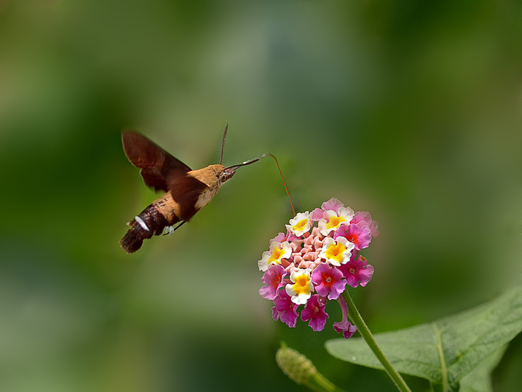 DSC_3056_df.jpg