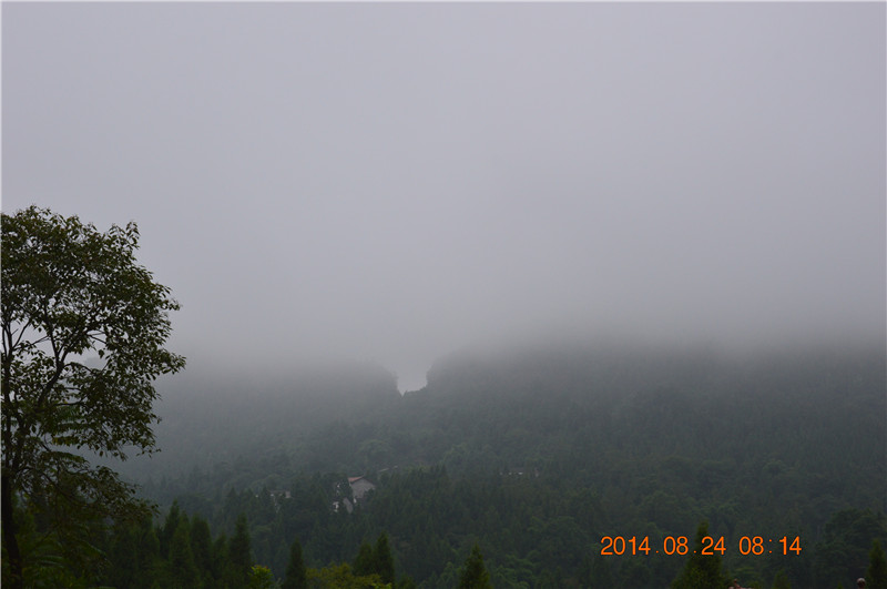 DSC_0055.JPG