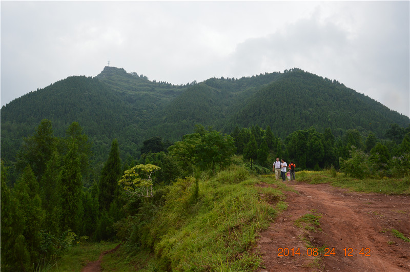 DSC_0163.JPG