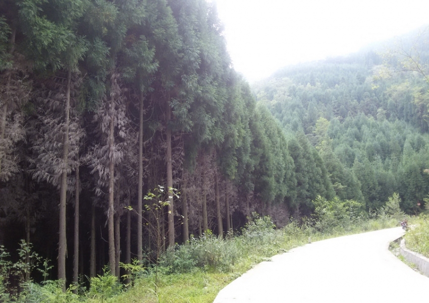 20140823_153650.jpg.thumb.jpg